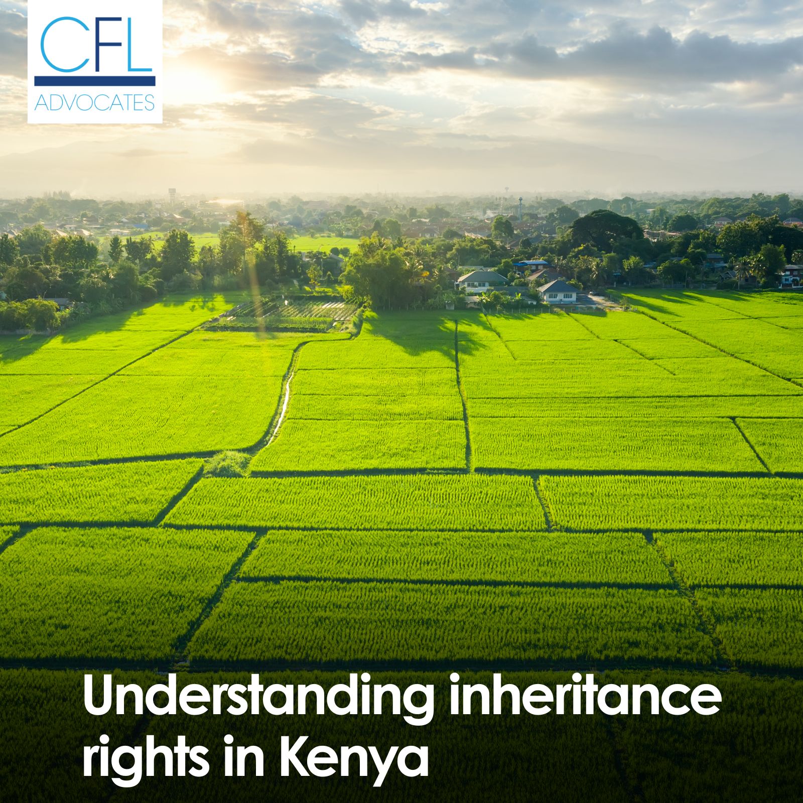 Inheritance rights: Do children have a guaranteed claim to their ...